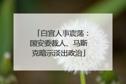 白宫人事震荡：国安委裁人、马斯克暗示淡出政治