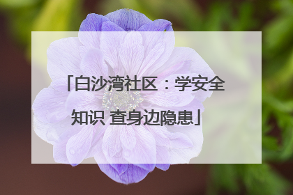 白沙湾社区：学安全知识 查身边隐患