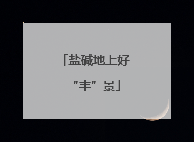 盐碱地上好“丰”景