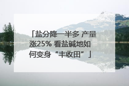 盐分降一半多 产量涨25% 看盐碱地如何变身“丰收田”