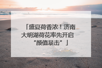 盛夏荷香浓！济南大明湖荷花率先开启“颜值暴击”
