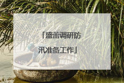 盛蕾调研防汛准备工作