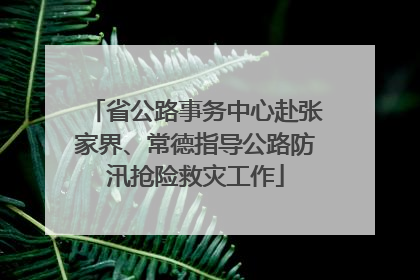 省公路事务中心赴张家界、常德指导公路防汛抢险救灾工作