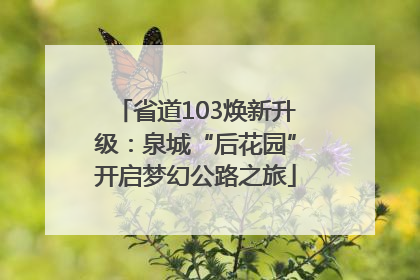 省道103焕新升级：泉城“后花园”开启梦幻公路之旅