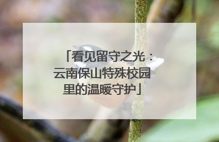看见留守之光：云南保山特殊校园里的温暖守护