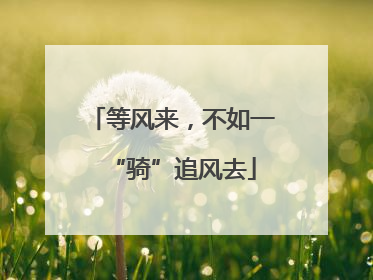等风来，不如一“骑”追风去