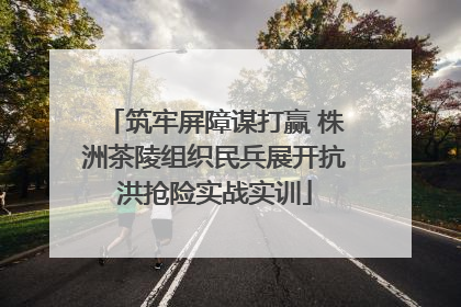 筑牢屏障谋打赢 株洲茶陵组织民兵展开抗洪抢险实战实训
