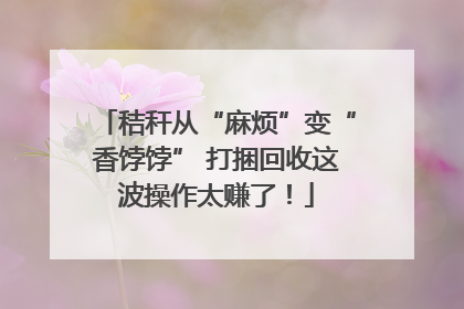 秸秆从“麻烦”变“香饽饽” 打捆回收这波操作太赚了！