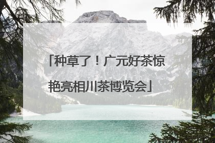 种草了！广元好茶惊艳亮相川茶博览会