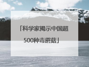 科学家揭示中国超500种毒蘑菇