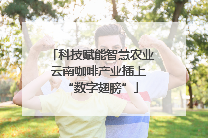 科技赋能智慧农业 云南咖啡产业插上“数字翅膀”