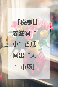 税惠甘霖滋润“小”香瓜闯出“大”市场