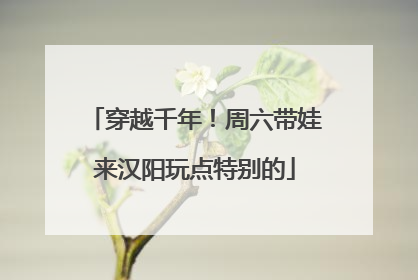 穿越千年！周六带娃来汉阳玩点特别的