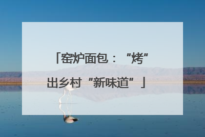 窑炉面包：“烤”出乡村“新味道”
