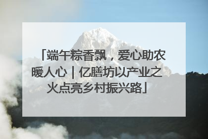 端午粽香飘，爱心助农暖人心｜亿膳坊以产业之火点亮乡村振兴路