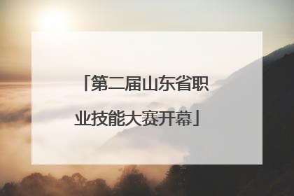 第二届山东省职业技能大赛开幕