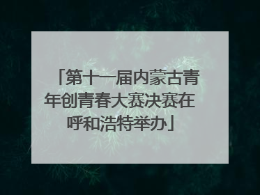 第十一届内蒙古青年创青春大赛决赛在呼和浩特举办