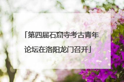 第四届石窟寺考古青年论坛在洛阳龙门召开