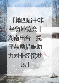 第四届中非经贸博览会丨湖南出台一揽子鼓励措施助力对非经贸发展