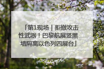 第1现场｜拒撤攻击性武器！巴黎航展竖黑墙隔离以色列四展台