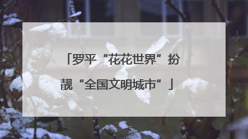 罗平“花花世界”扮靓“全国文明城市”