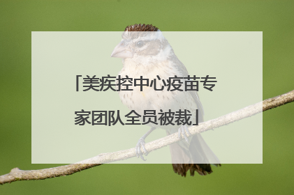 美疾控中心疫苗专家团队全员被裁
