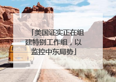 美国证实正在组建特别工作组，以监控中东局势