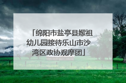 绵阳市盐亭县嫘祖幼儿园接待乐山市沙湾区政协观摩团