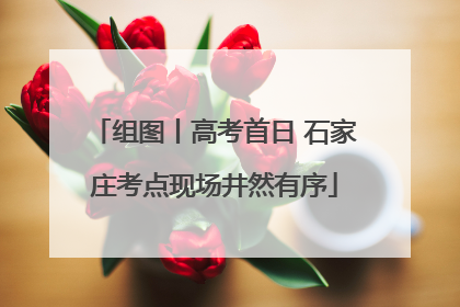 组图丨高考首日 石家庄考点现场井然有序