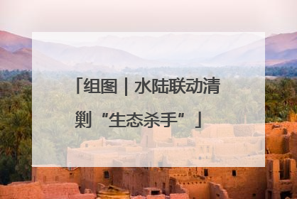 组图｜水陆联动清剿“生态杀手”
