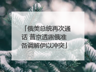 俄美总统再次通话 普京透露俄准备调解伊以冲突