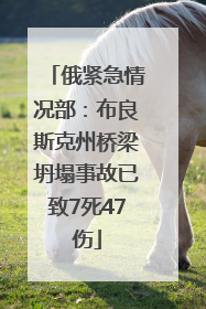 俄紧急情况部：布良斯克州桥梁坍塌事故已致7死47伤