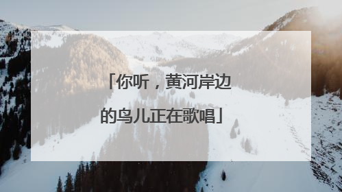 你听，黄河岸边的鸟儿正在歌唱