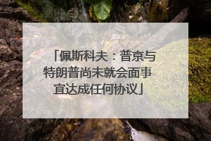 佩斯科夫：普京与特朗普尚未就会面事宜达成任何协议