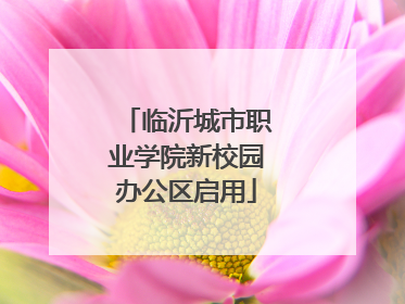 临沂城市职业学院新校园办公区启用