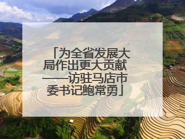为全省发展大局作出更大贡献——访驻马店市委书记鲍常勇