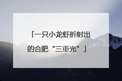 一只小龙虾折射出的合肥“三重光”