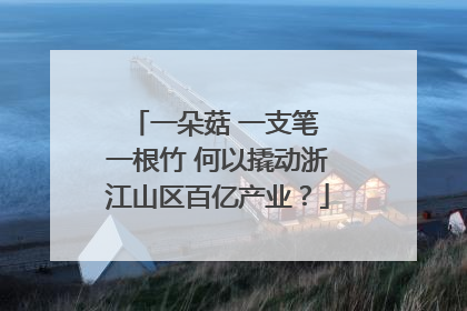 一朵菇 一支笔 一根竹 何以撬动浙江山区百亿产业？