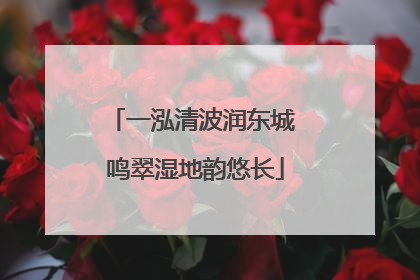 一泓清波润东城 鸣翠湿地韵悠长