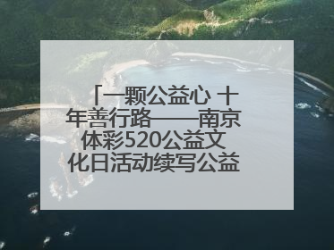 一颗公益心 十年善行路——南京体彩520公益文化日活动续写公益新篇章