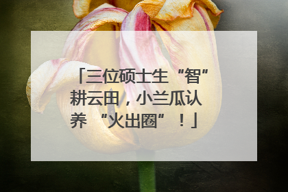 三位硕士生“智” 耕云田，小兰瓜认养 “火出圈”！