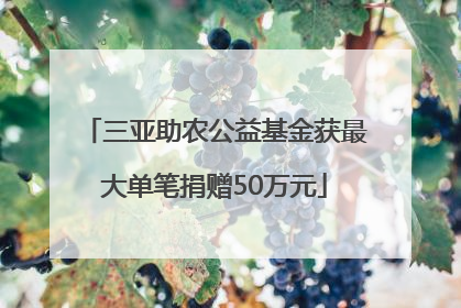 三亚助农公益基金获最大单笔捐赠50万元