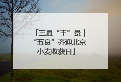 三夏“丰”景｜“五良”齐迎北京小麦收获日