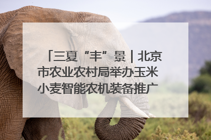 三夏“丰”景｜北京市农业农村局举办玉米小麦智能农机装备推广“田间日”活动