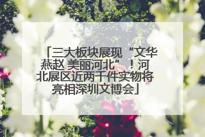 三大板块展现“文华燕赵 美丽河北”！河北展区近两千件实物将亮相深圳文博会
