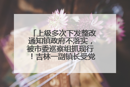 上级多次下发整改通知镇政府不落实，被市委巡察组抓现行！吉林一副镇长受党内警告处分