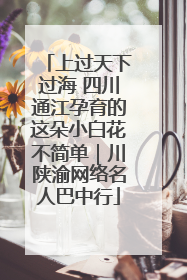 上过天下过海 四川通江孕育的这朵小白花不简单｜川陕渝网络名人巴中行