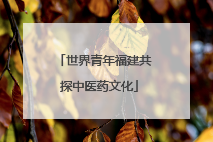 世界青年福建共探中医药文化