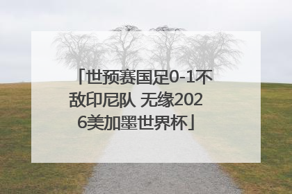 世预赛国足0-1不敌印尼队 无缘2026美加墨世界杯