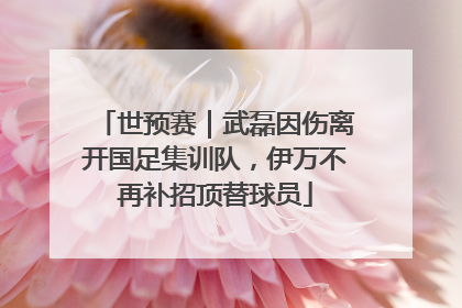 世预赛｜武磊因伤离开国足集训队，伊万不再补招顶替球员